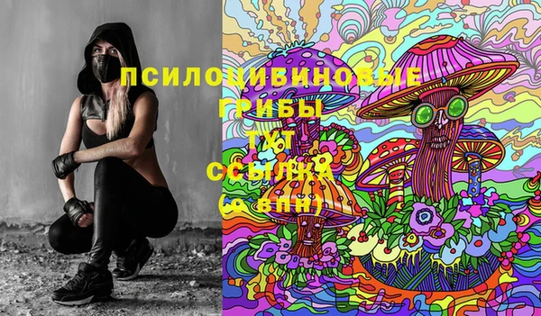 прущий лед Краснослободск