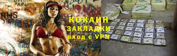 твердый Лагань