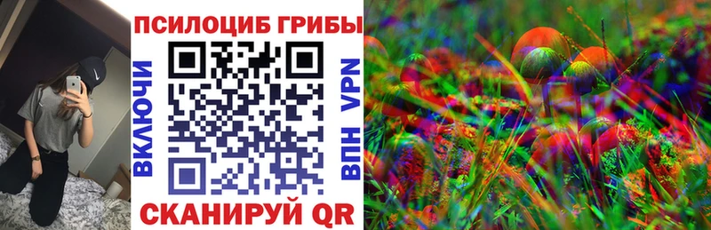 Псилоцибиновые грибы Magic Shrooms  мориарти Telegram  Кудымкар  мега сайт 